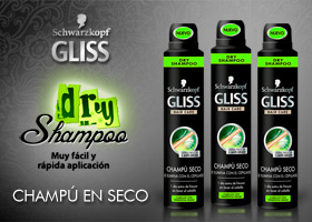 Gliss Dry Shampoo