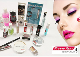 LOTE DE MAQUILLAJE PIERRE RENÉ